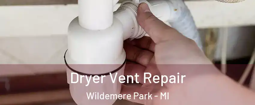 Dryer Vent Repair Wildemere Park - MI