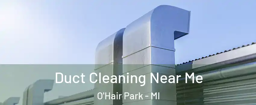 Duct Cleaning Near Me O'Hair Park - MI