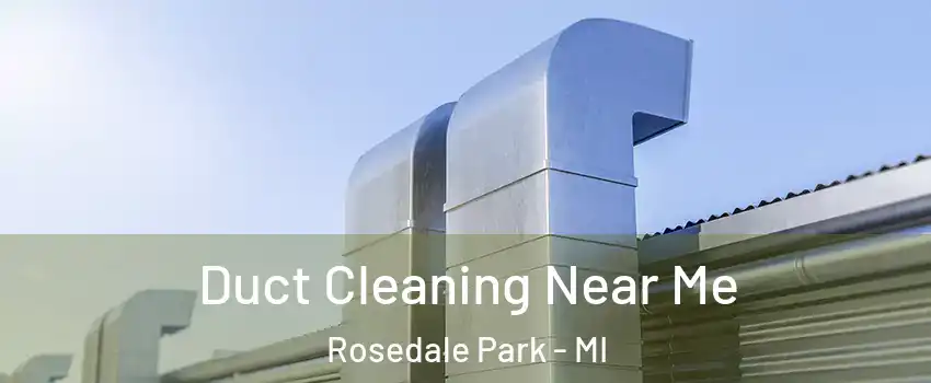 Duct Cleaning Near Me Rosedale Park - MI