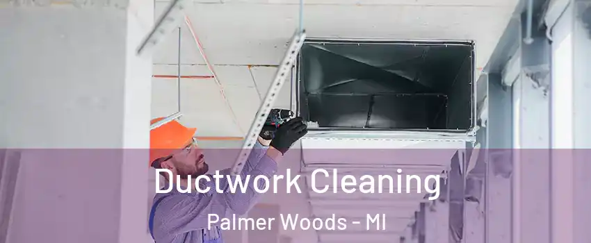 Ductwork Cleaning Palmer Woods - MI