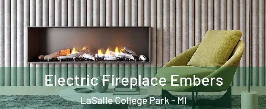 Electric Fireplace Embers LaSalle College Park - MI