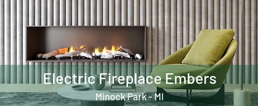 Electric Fireplace Embers Minock Park - MI