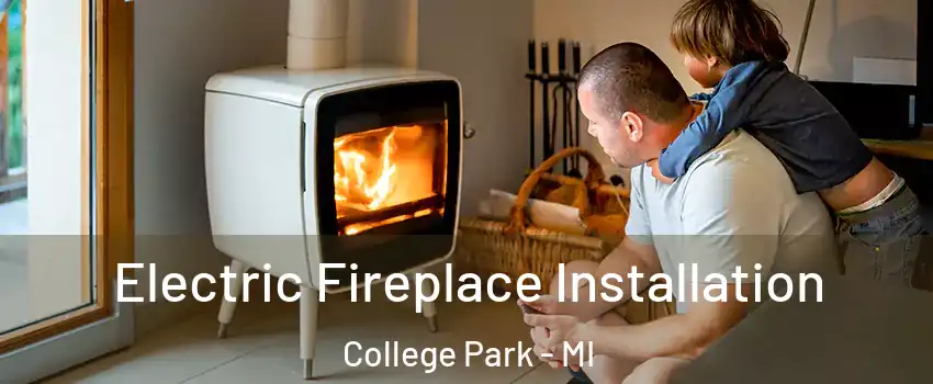 Electric Fireplace Installation College Park - MI