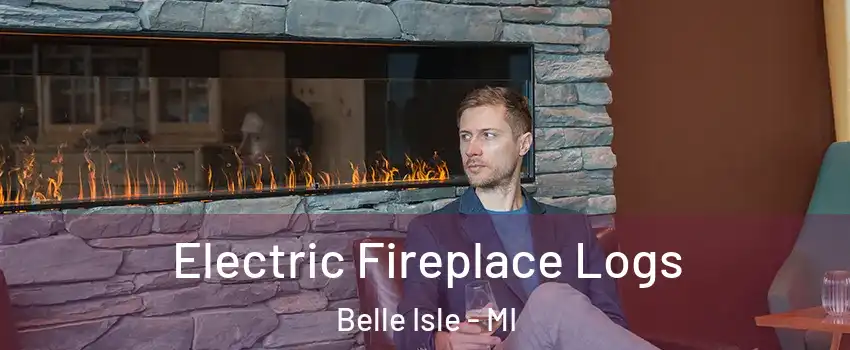 Electric Fireplace Logs Belle Isle - MI