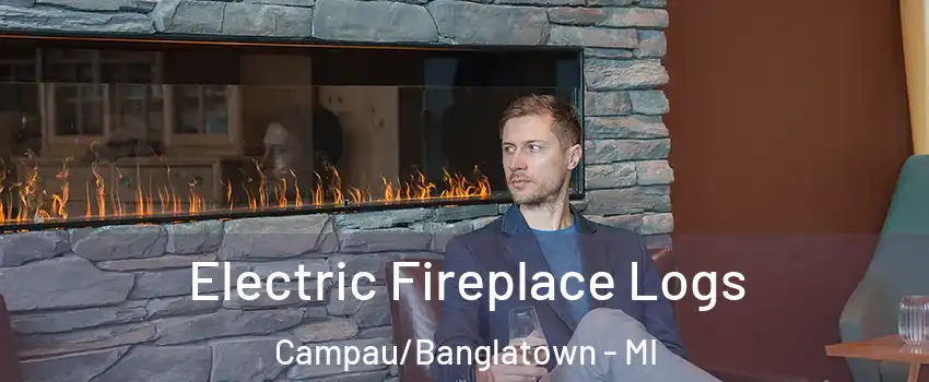 Electric Fireplace Logs Campau/Banglatown - MI