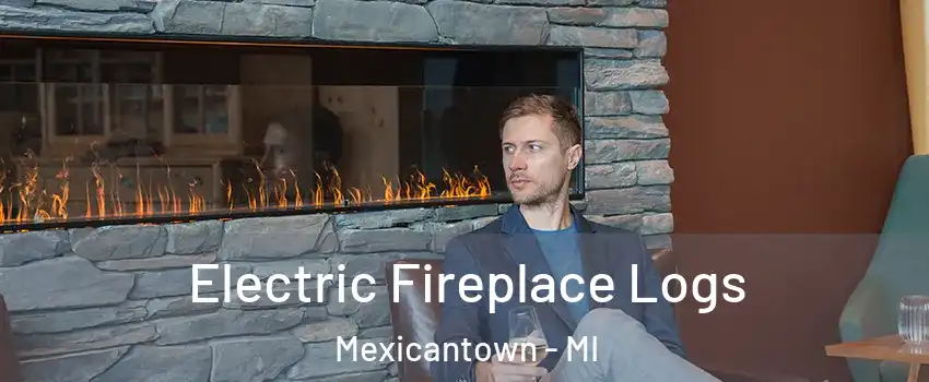 Electric Fireplace Logs Mexicantown - MI