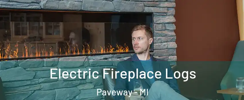 Electric Fireplace Logs Paveway - MI