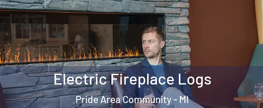 Electric Fireplace Logs Pride Area Community - MI