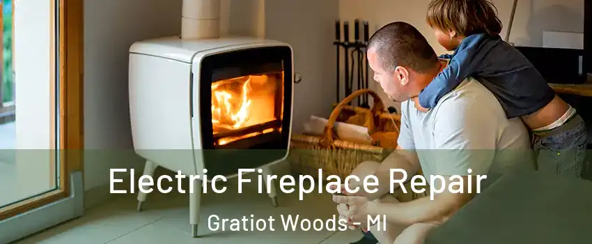 Electric Fireplace Repair Gratiot Woods - MI