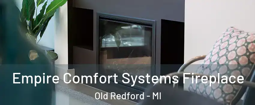 Empire Comfort Systems Fireplace Old Redford - MI