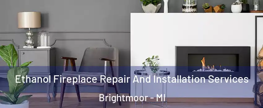 Ethanol Fireplace Repair And Installation Services Brightmoor - MI