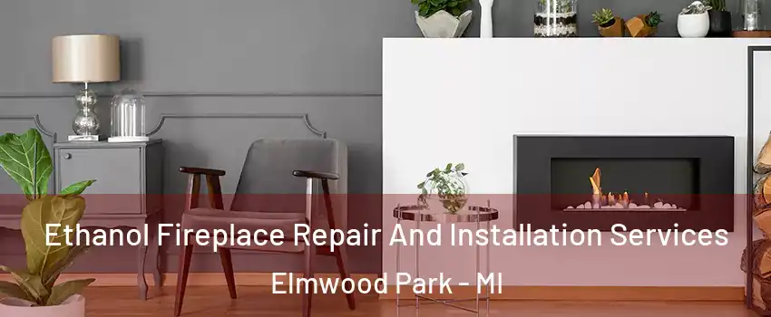 Ethanol Fireplace Repair And Installation Services Elmwood Park - MI