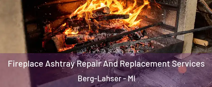 Fireplace Ashtray Repair And Replacement Services Berg-Lahser - MI