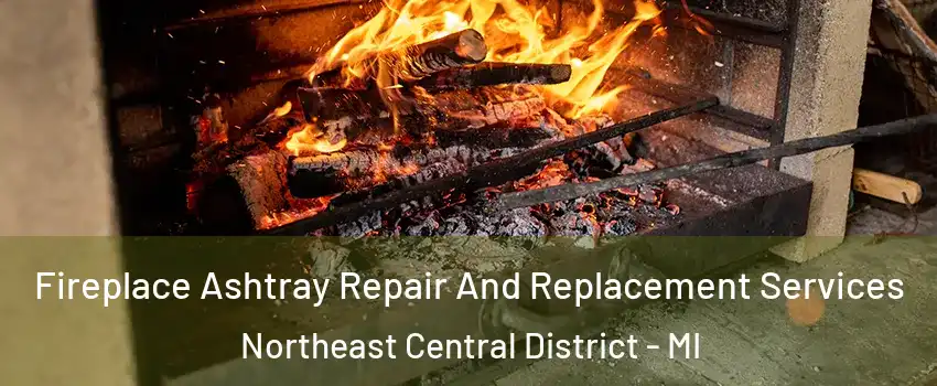 Fireplace Ashtray Repair And Replacement Services Northeast Central District - MI