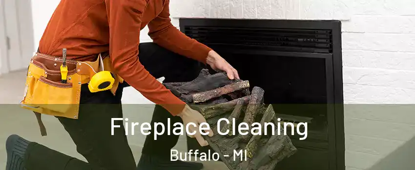 Fireplace Cleaning Buffalo - MI