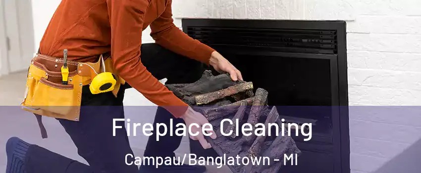 Fireplace Cleaning Campau/Banglatown - MI