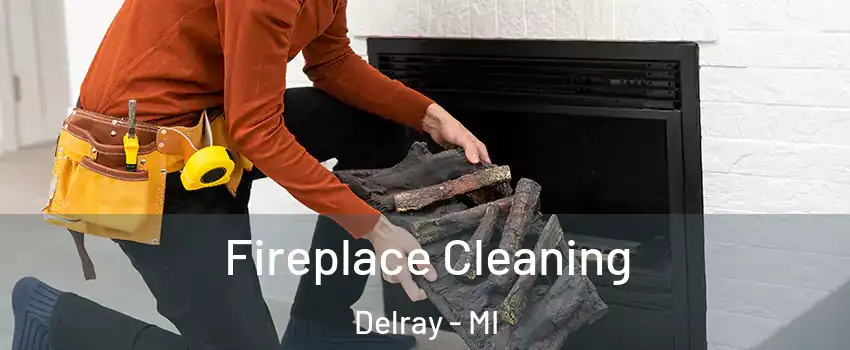 Fireplace Cleaning Delray - MI