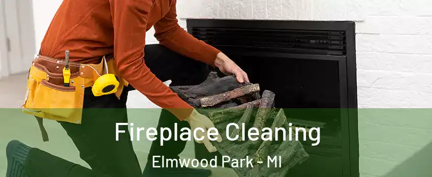 Fireplace Cleaning Elmwood Park - MI