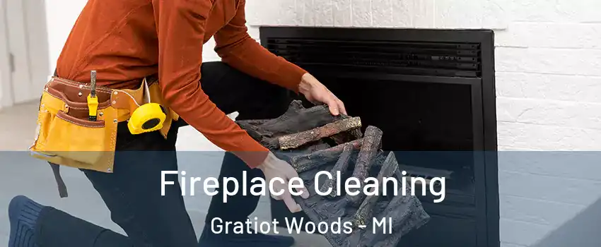 Fireplace Cleaning Gratiot Woods - MI