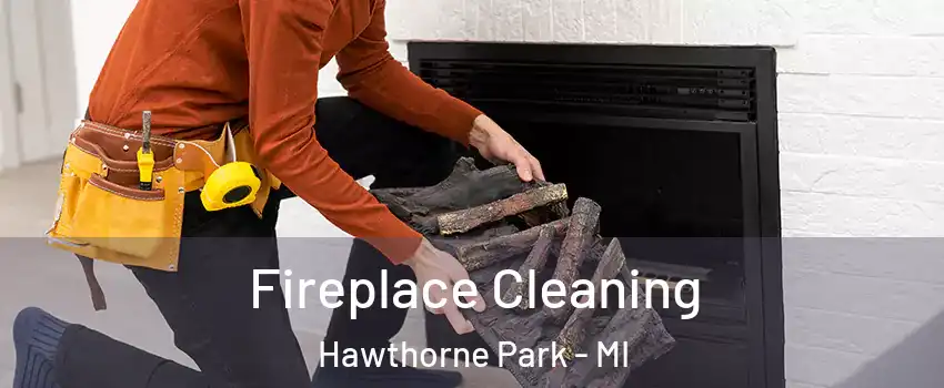 Fireplace Cleaning Hawthorne Park - MI