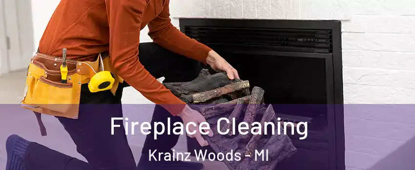 Fireplace Cleaning Krainz Woods - MI