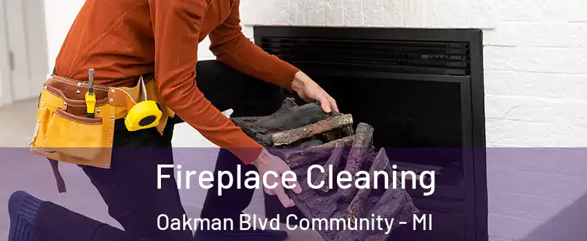 Fireplace Cleaning Oakman Blvd Community - MI