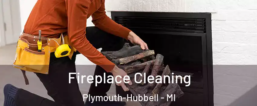 Fireplace Cleaning Plymouth-Hubbell - MI