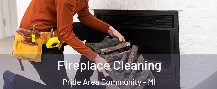 Fireplace Cleaning Pride Area Community - MI