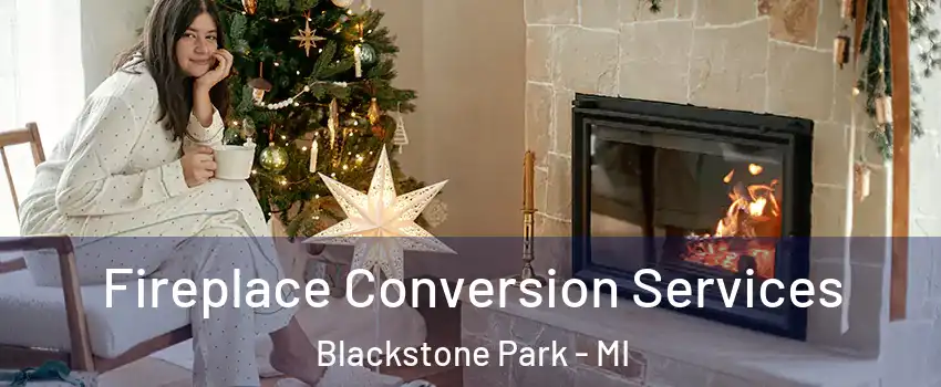 Fireplace Conversion Services Blackstone Park - MI