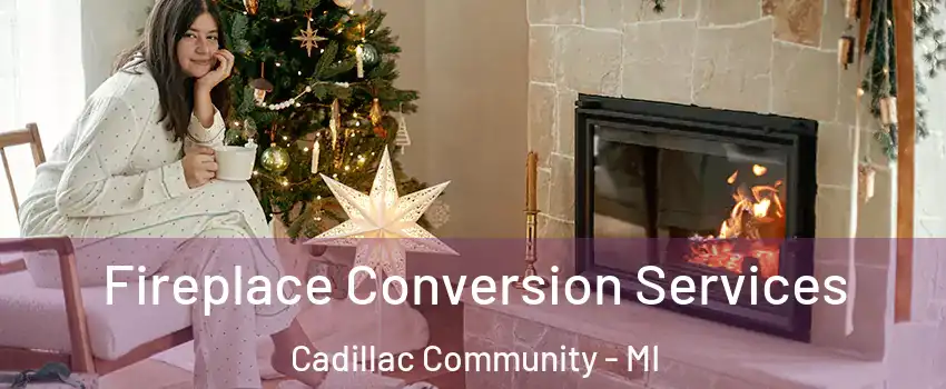 Fireplace Conversion Services Cadillac Community - MI