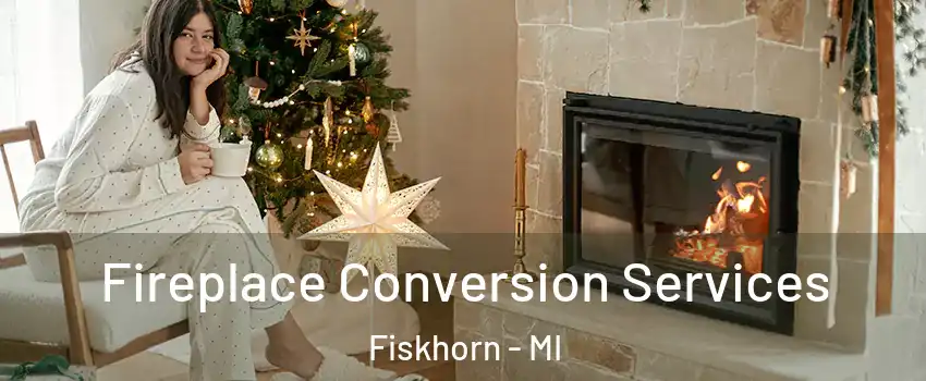 Fireplace Conversion Services Fiskhorn - MI