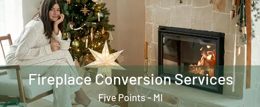 Fireplace Conversion Services Five Points - MI