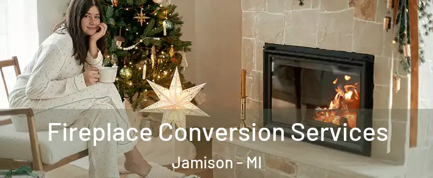 Fireplace Conversion Services Jamison - MI