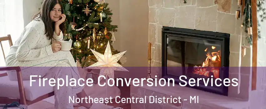 Fireplace Conversion Services Northeast Central District - MI