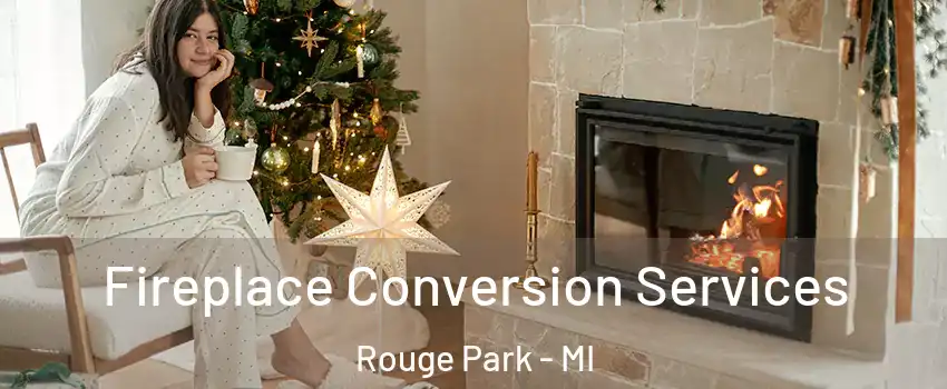 Fireplace Conversion Services Rouge Park - MI