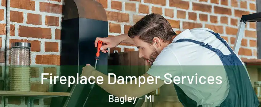 Fireplace Damper Services Bagley - MI