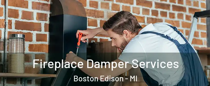 Fireplace Damper Services Boston Edison - MI