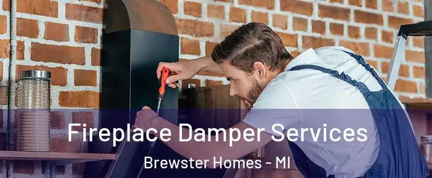 Fireplace Damper Services Brewster Homes - MI