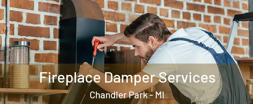 Fireplace Damper Services Chandler Park - MI