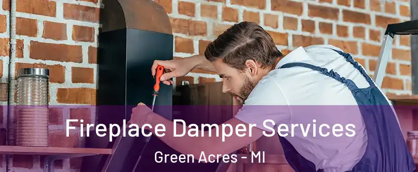 Fireplace Damper Services Green Acres - MI