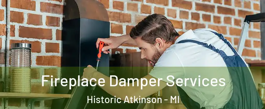 Fireplace Damper Services Historic Atkinson - MI