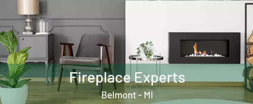 Fireplace Experts Belmont - MI