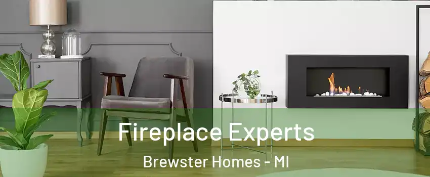 Fireplace Experts Brewster Homes - MI