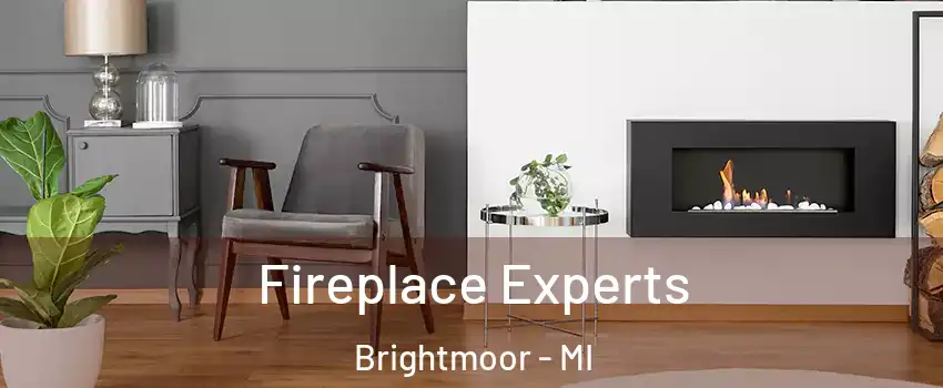 Fireplace Experts Brightmoor - MI