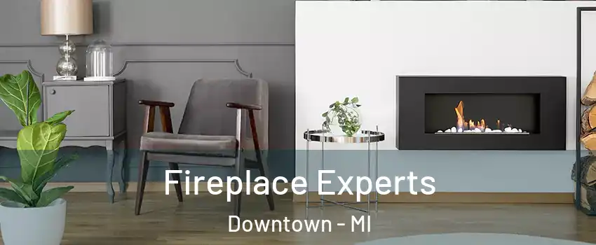 Fireplace Experts Downtown - MI