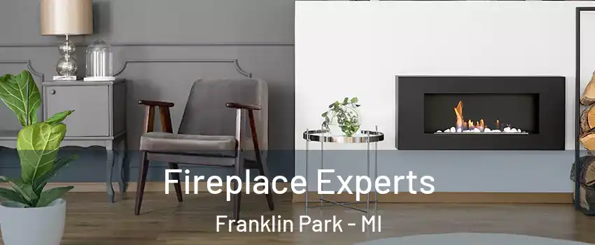 Fireplace Experts Franklin Park - MI