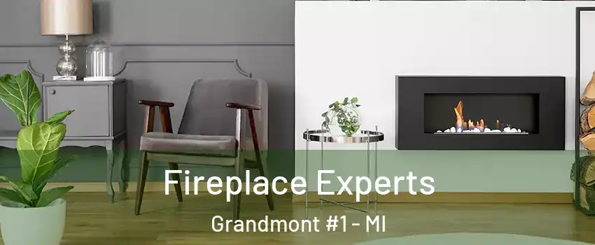 Fireplace Experts Grandmont #1 - MI