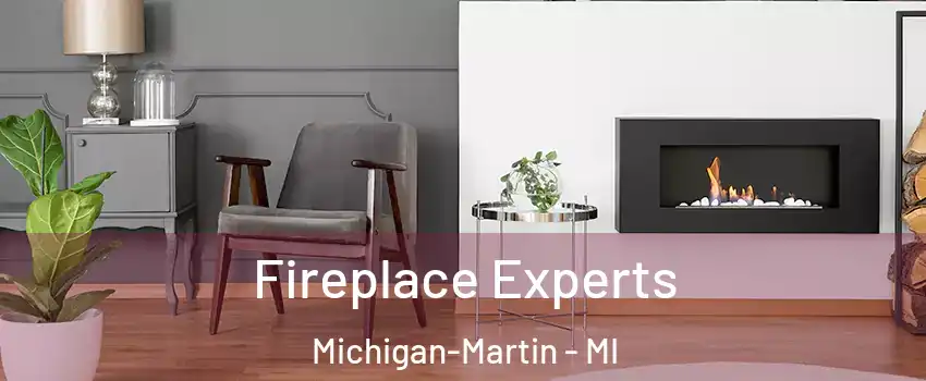 Fireplace Experts Michigan-Martin - MI