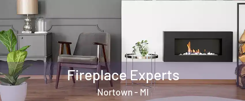 Fireplace Experts Nortown - MI