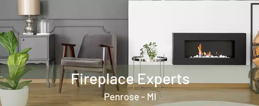 Fireplace Experts Penrose - MI